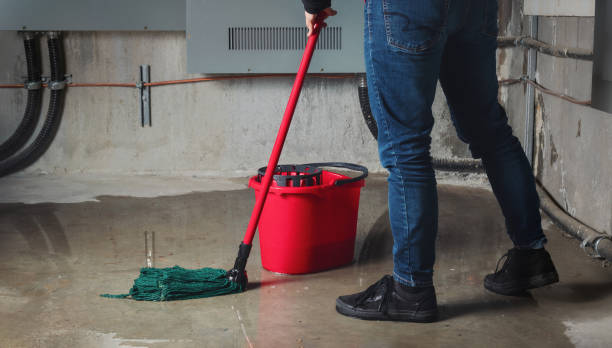 Best Ceiling water damage repair  in Shenandoah, TX