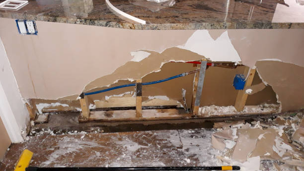 Best Local water damage restoration  in Shenandoah, TX